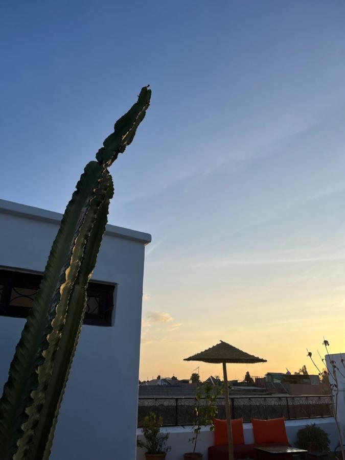 Riad Darino มาร์ราเกช ภายนอก รูปภาพ